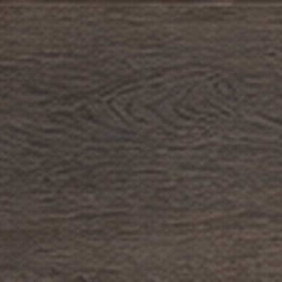 Durban Oak